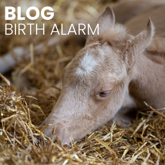 Blog Birth alarm