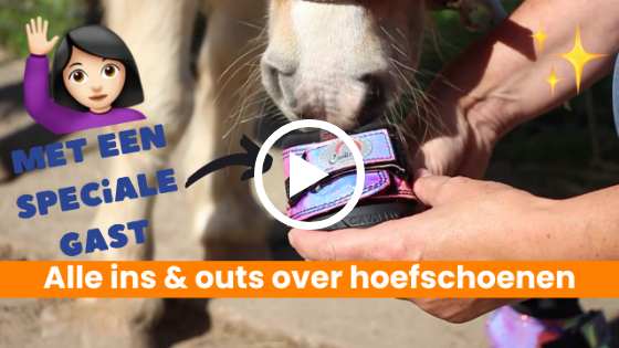 Video Hoefschoenen