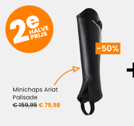 Minichaps Ariat Palisade