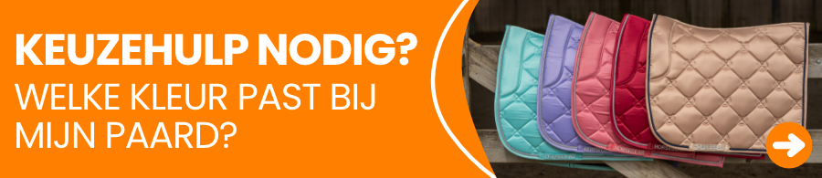 Blog welke kleur past bij mijn paard