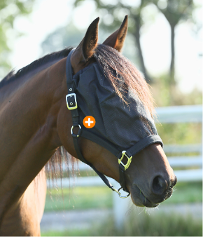 Horsegear vliegenmasker
