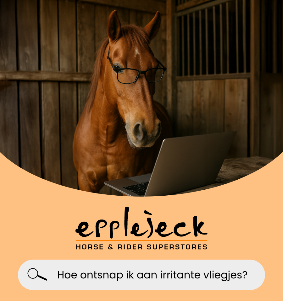 Vliegenshop